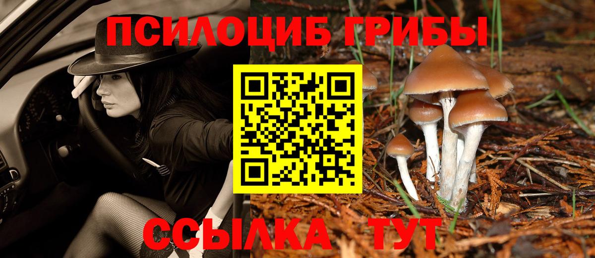 Галлюциногенные грибы мухоморы Алексеевка