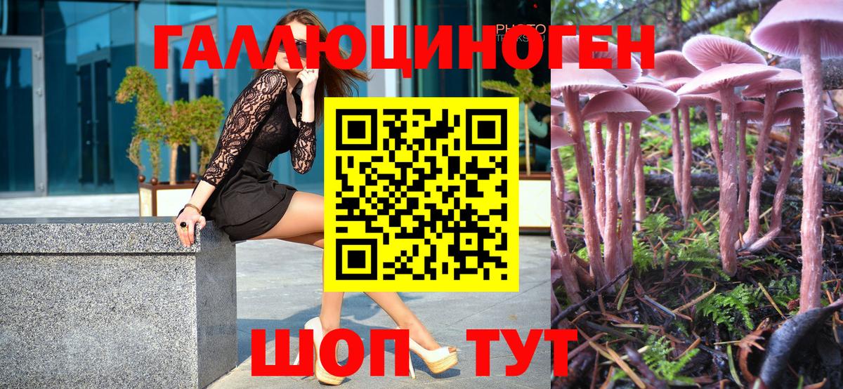 Алексеевка  Псилоцибиновые грибы Magic Shrooms  Псилоцибиновые грибы MAGIC MUSHROOMS  Вход с VPN 